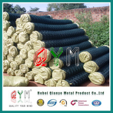 PVC beschichtete Kettenglied Mesh / PVC beschichtete Mesh Roll